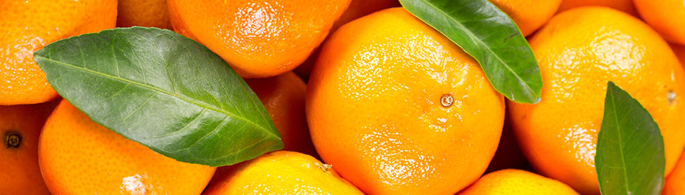 Mandarinen, Clementinen und Co.